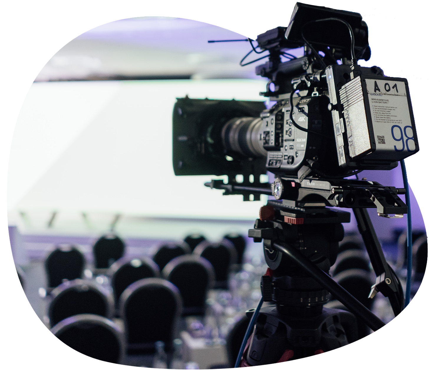 hunderteins_website_0.1