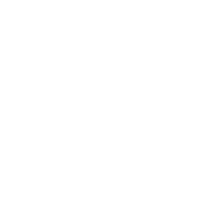 2017_hunderteins_900px_weiß